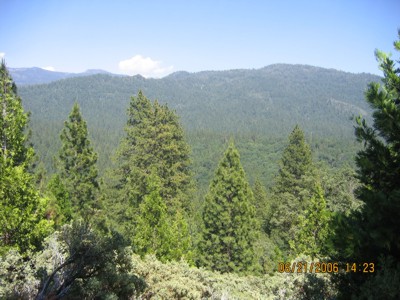 View east of the house