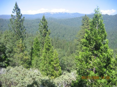 View northeast from kitchen deck