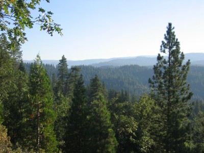 View north from kitchen deck