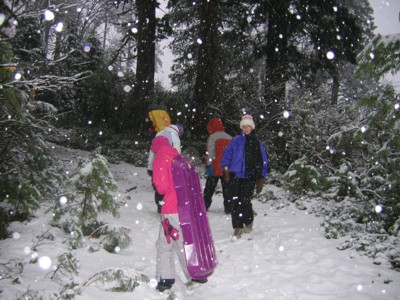 kids playing in falling snow