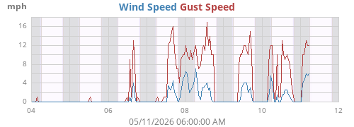weekwind