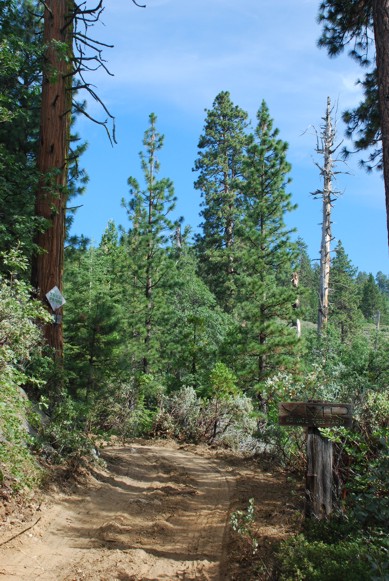 Hiking right behind the house